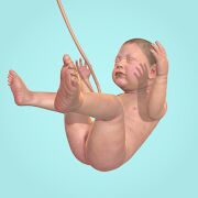 Скачать бесплатно 9 Months [Мод много денег] 1.23.0 - Русская версия apk на Андроид