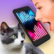 Скачать бесплатно Кошачий Переводчик Симулятор [Мод много монет] 1.3.3 - RUS apk на Андроид